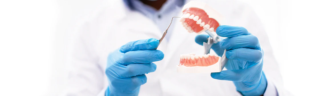 Cancun dentist explaining the types of gum graft techniques with a fake denture